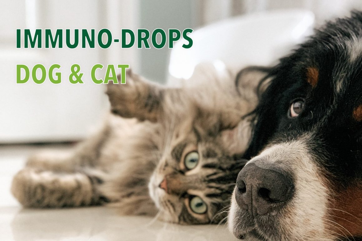 Immuno-Drops Dog & Cat: macska, kutya immunerősítő vitaminkészítmény