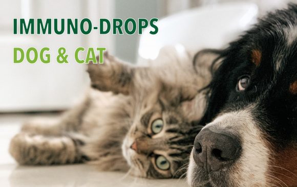 Immuno-Drops Dog & Cat: macska, kutya immunerősítő vitaminkészítmény