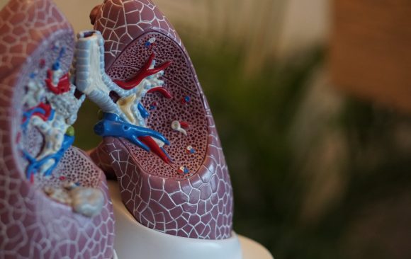 Lung Focus, a tüdőtisztító